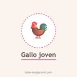 Amigurumi Gallo Joven PDF Patrón Gratis Paso a Paso Gallo joven amigurumi tejido a crochet