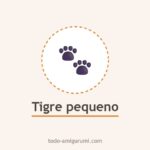 Tigre pequeno amigurumi tejido a ganchillo